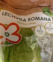 Lechuga Romana