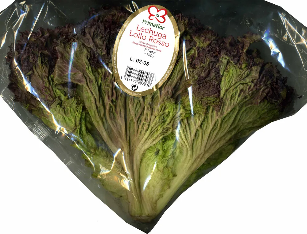 Lechuga Lollo rosso