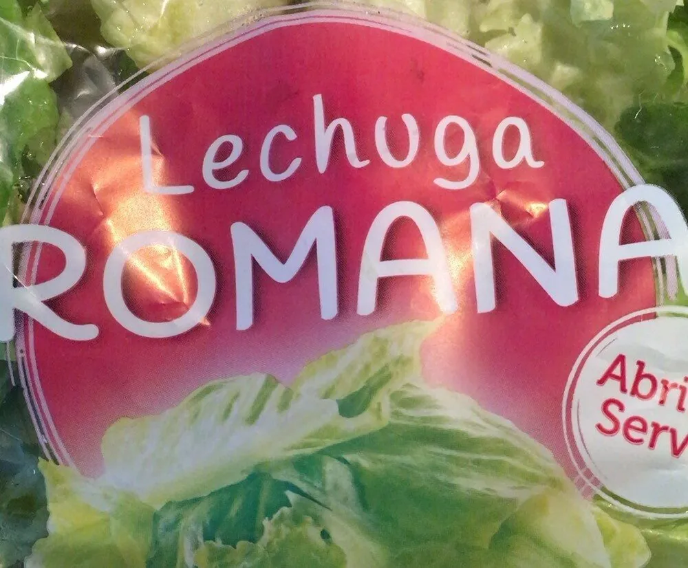 Lechuga romana