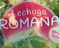Lechuga romana