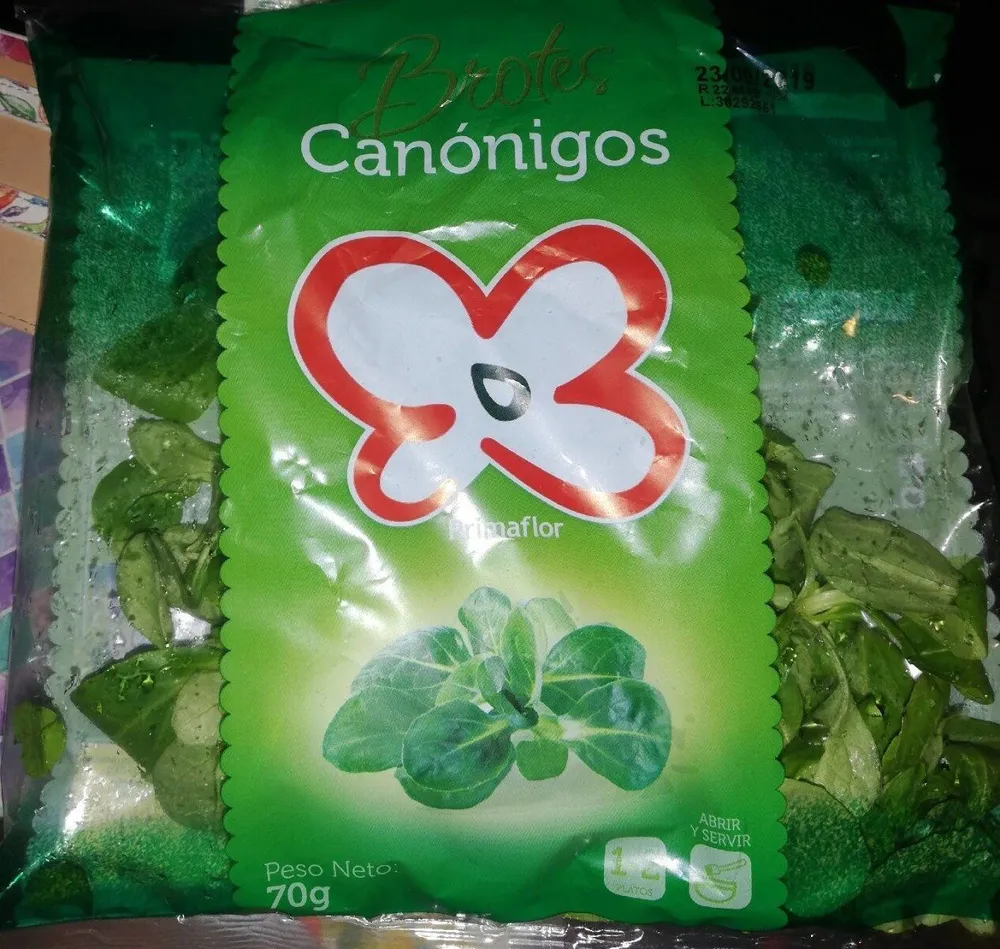 Canónigos