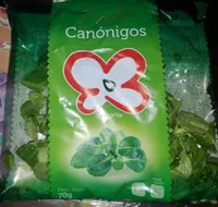 Canónigos