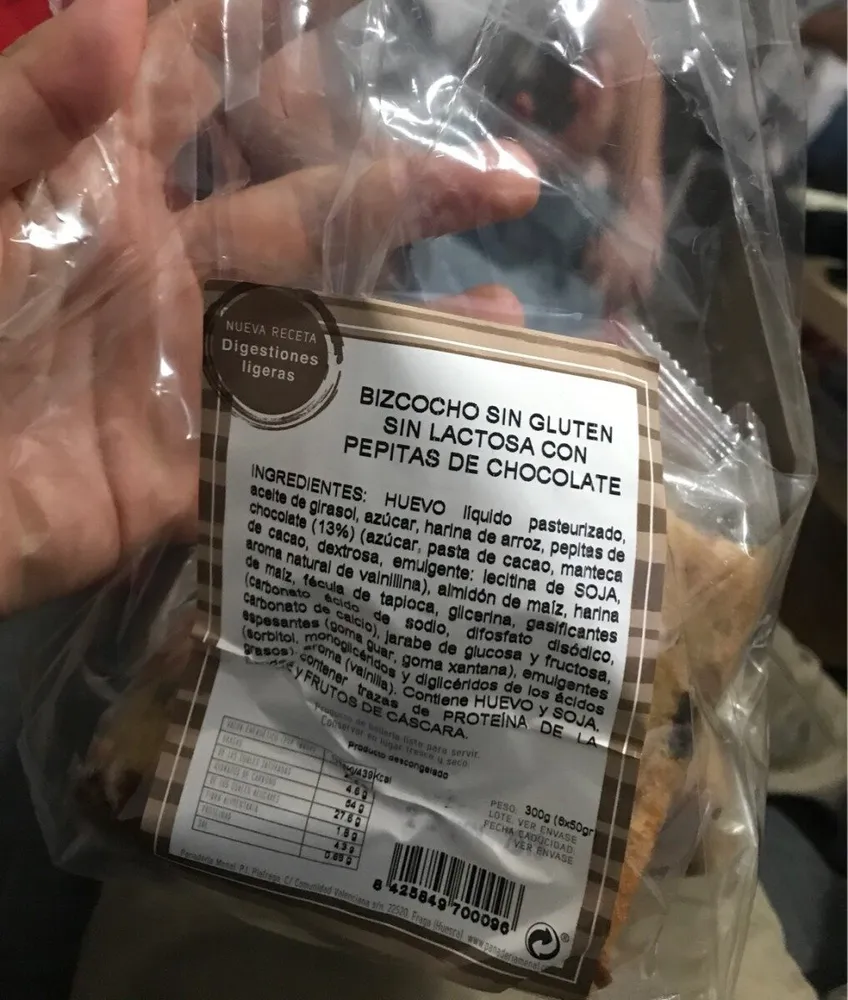 Bizcocho sin gluten con pepitas de chocolate sin lactosa