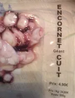 Encornet geant cuit coupe
