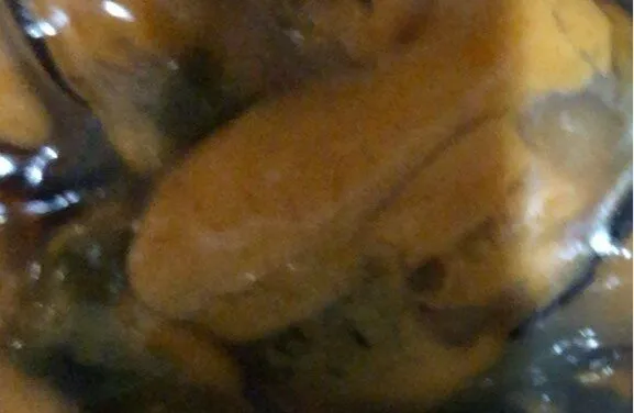 Moules cuites