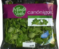 Canónigos