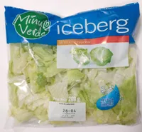Iceberg