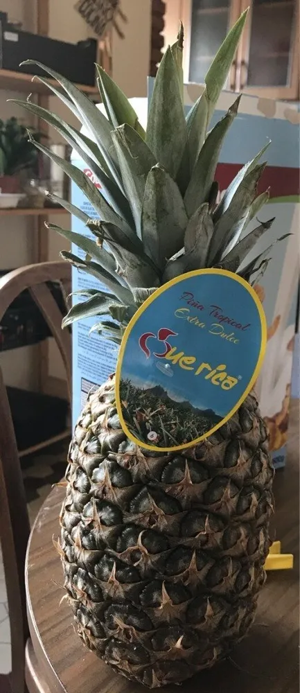 Piña Tropical