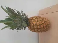 Piña Tropical Extra Dulce