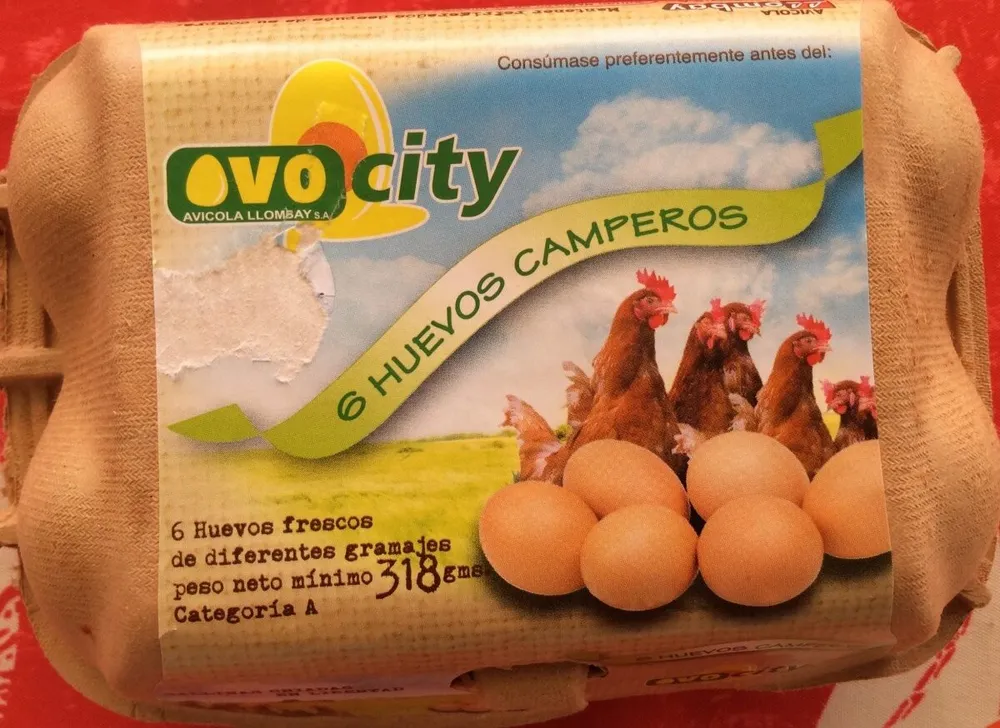 huevos camperos