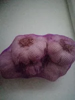 Ajo Variedad Spring Violeta