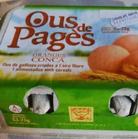 Ous de pages