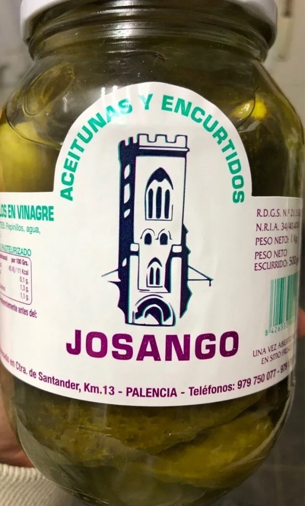 Pepinillos en vinagre