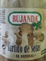 Surtido de setas