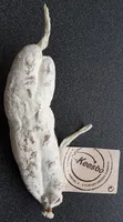 Saucisson nature
