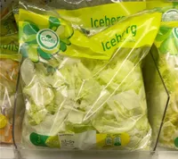 Iceberg