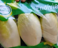 Endívies