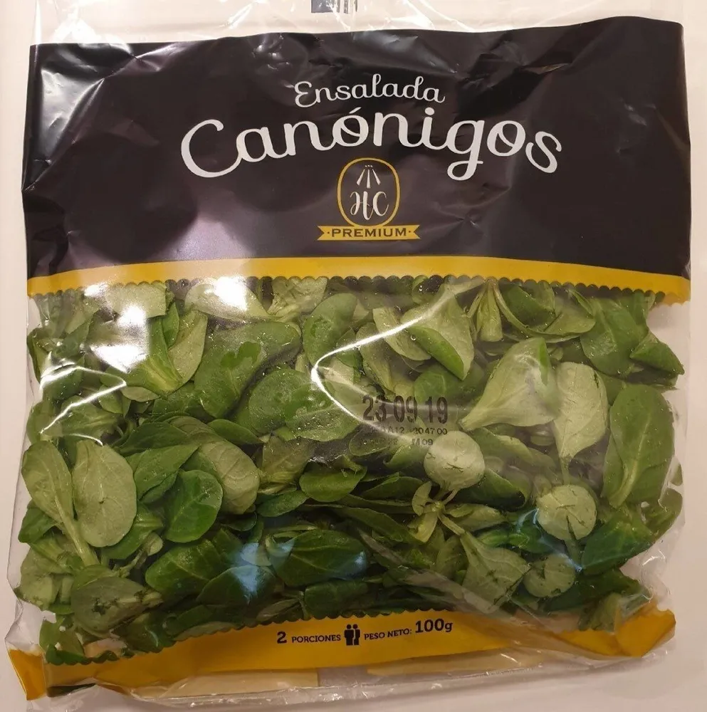 Canónigos