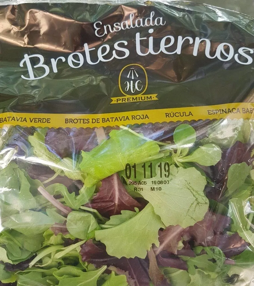 Ensalada brotes tiernos