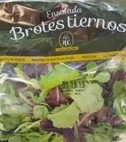Ensalada brotes tiernos