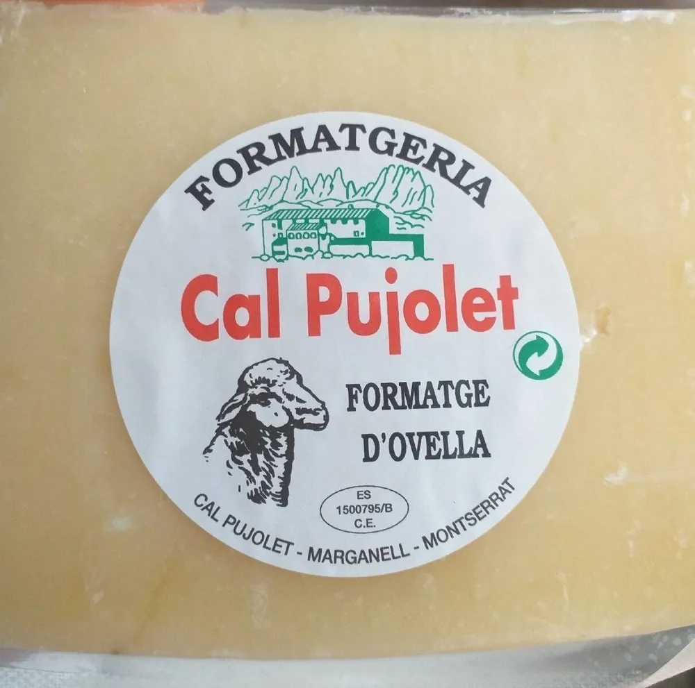 Queso de oveja