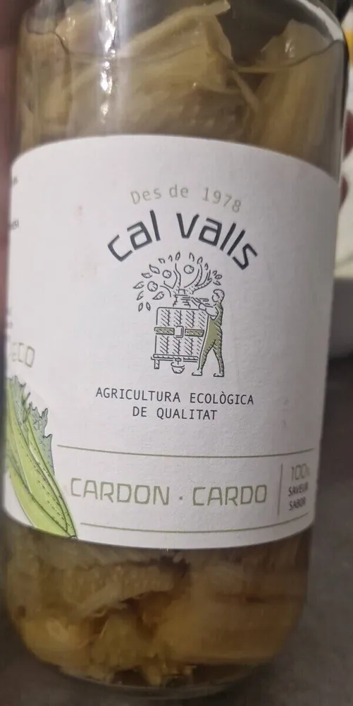 Cardon · Cardo