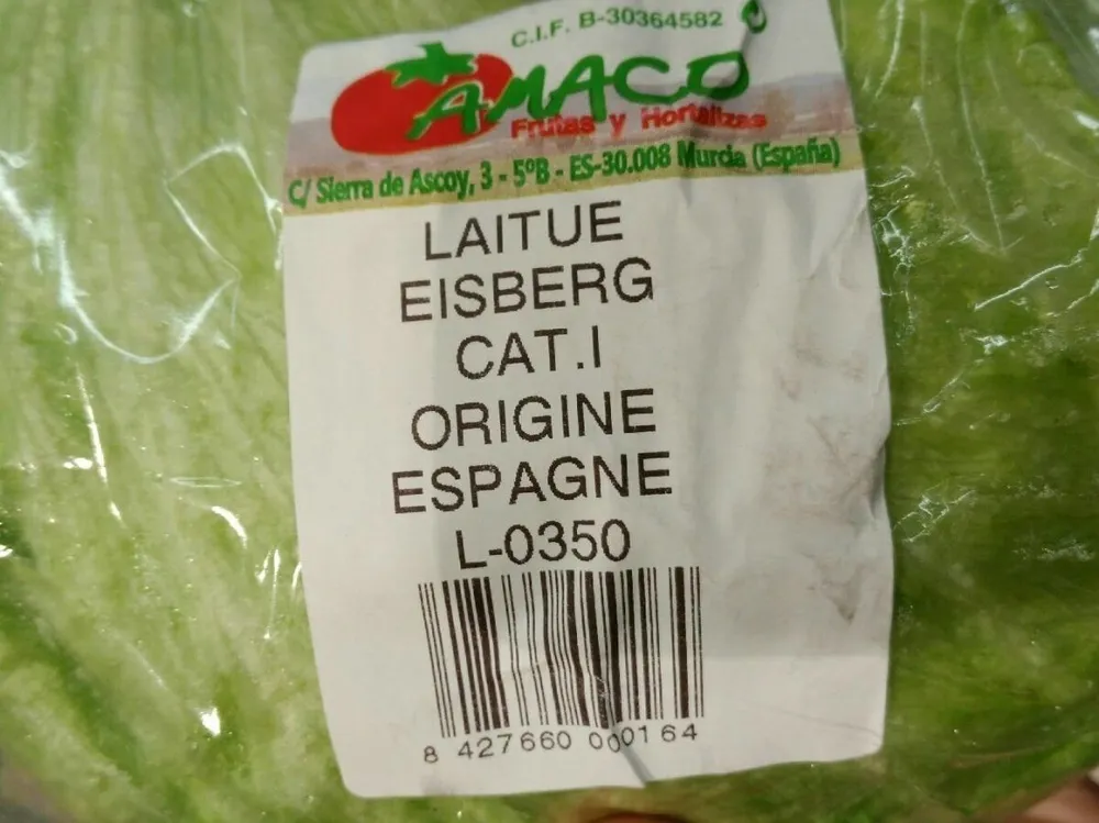 Laitue eisberg