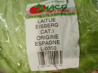 Laitue eisberg