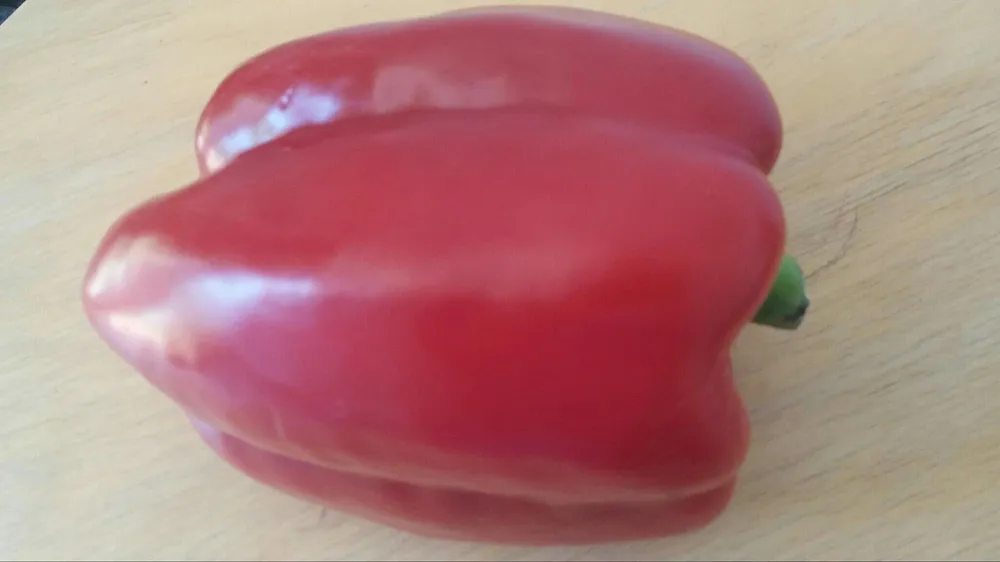 Pimiento Rojo