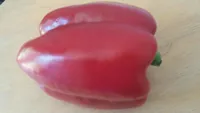 Pimiento Rojo