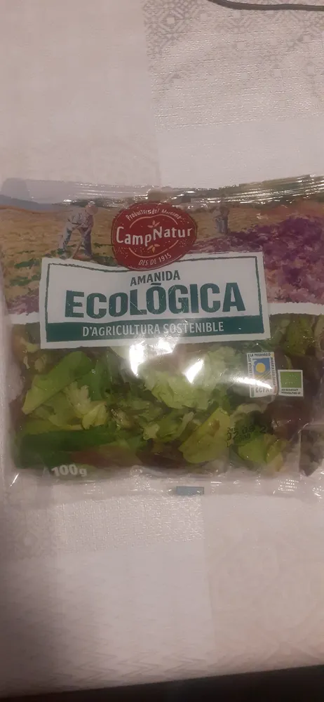 Amanida Ecologica
