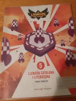 Llengua catalana i literatura