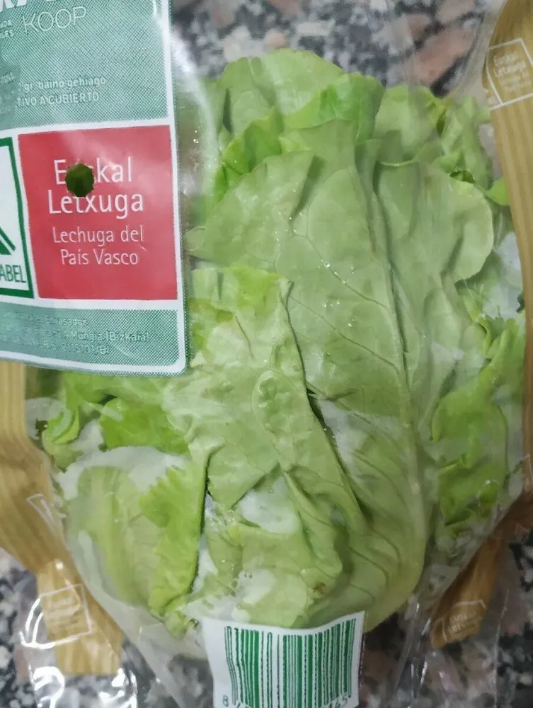 Lechuga