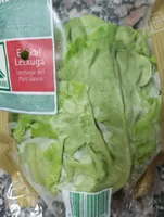 Lechuga