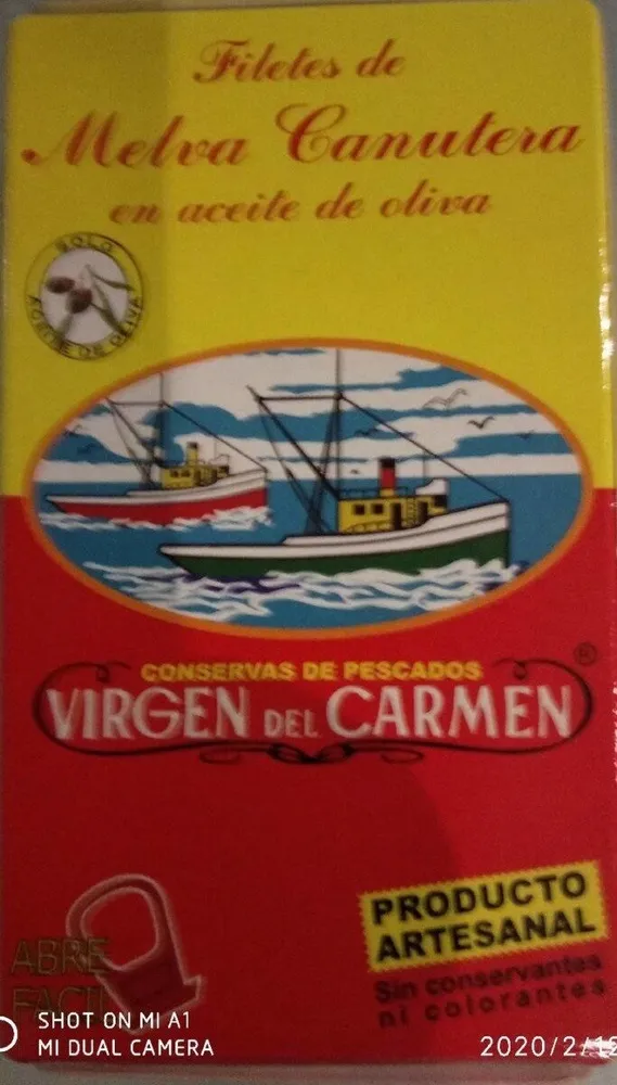 Filetes de Melva Canutera en aceite de oliva