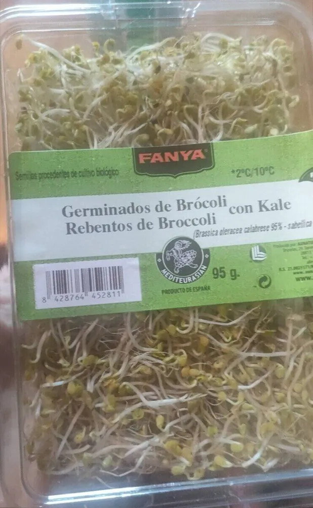 Germinados de broculi tarrina