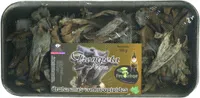 Setas trompeta negra