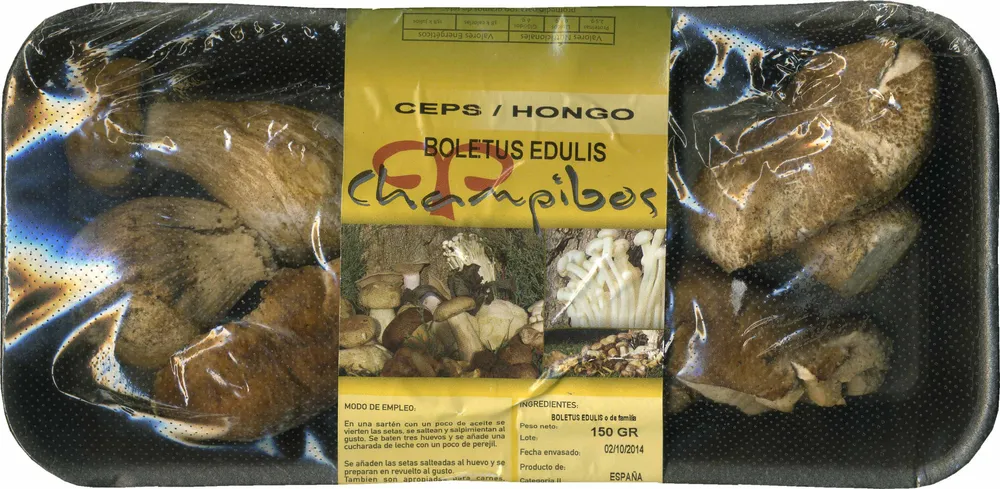Hongo seco boletus edulis
