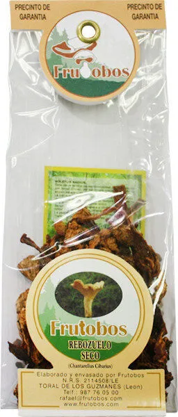 Rebozuelo cantharellus cibarius