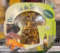 Variado de setas silvestres