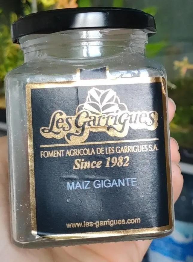 Mais gigante