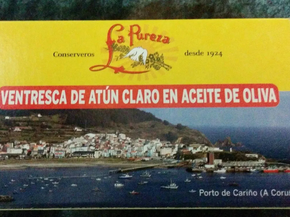 Ventresca de atún claro en aceite de oliva