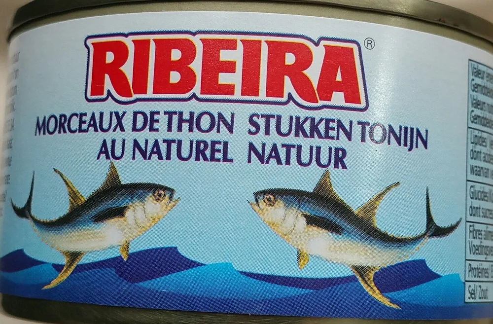 Morceaux de thon