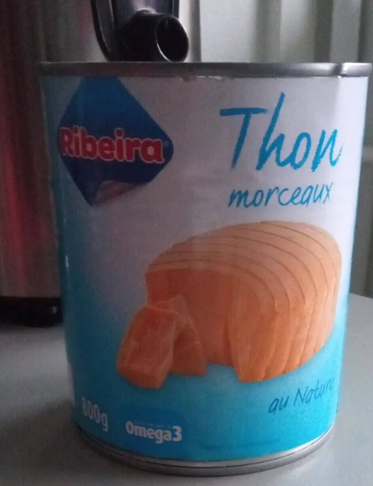 Thon morceaux