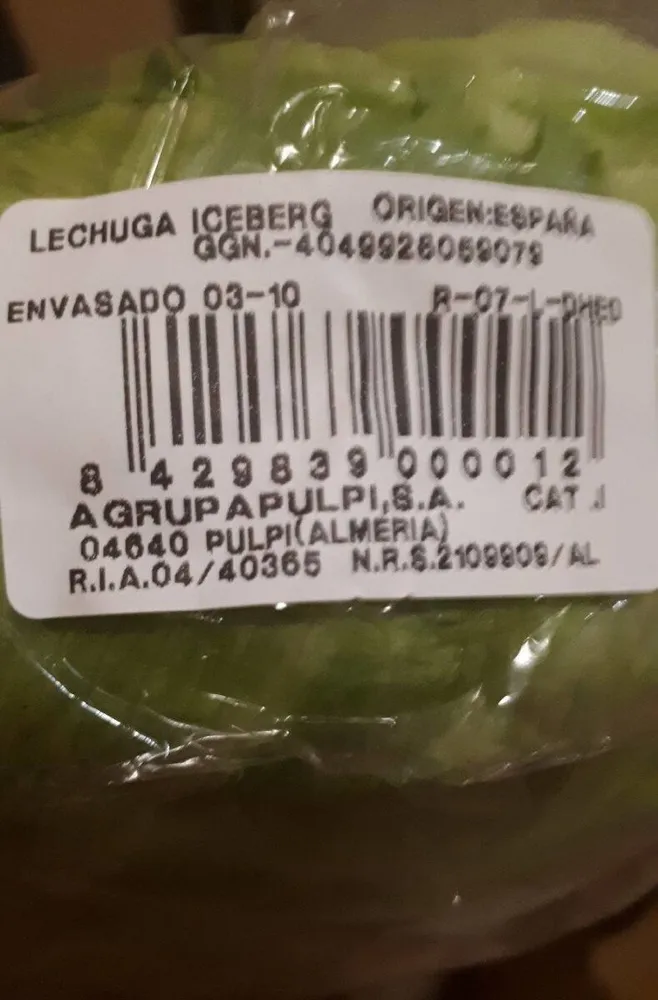 Lechuga iceberg