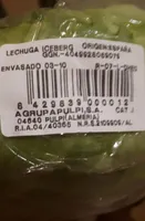Lechuga iceberg