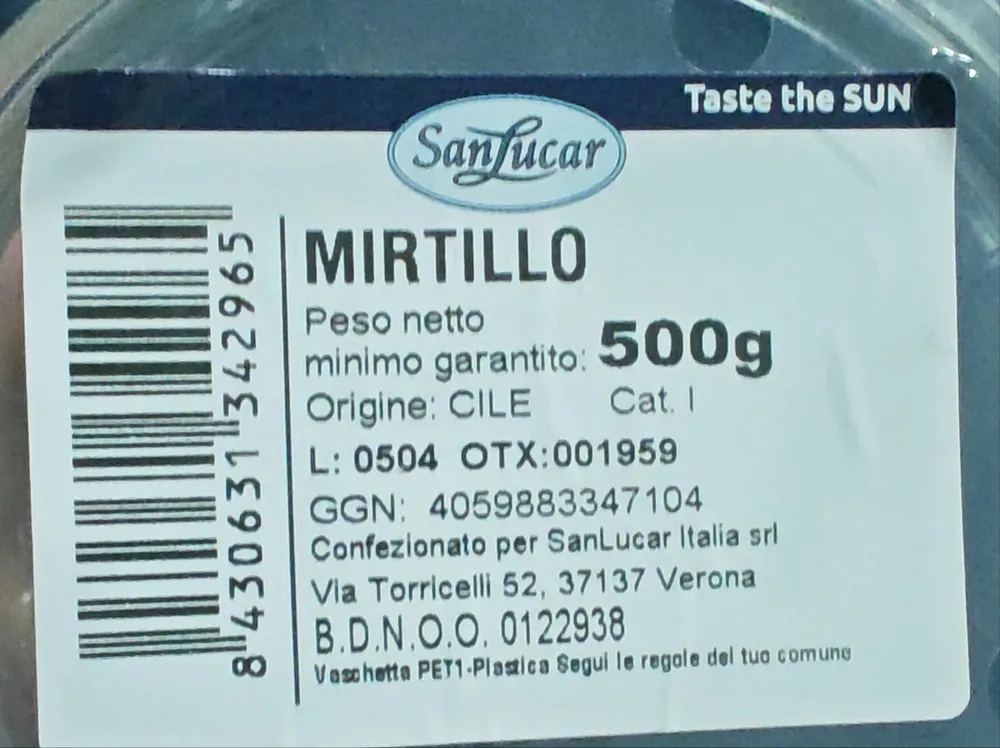 Mirtillo