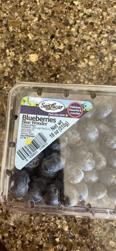 Blueberries Blue Wonder
