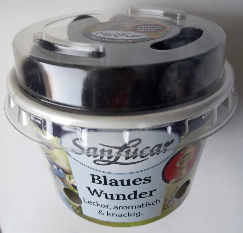 Blaues Wunder Kulturheidelbeeren