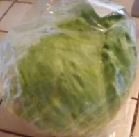 Laitue iceberg